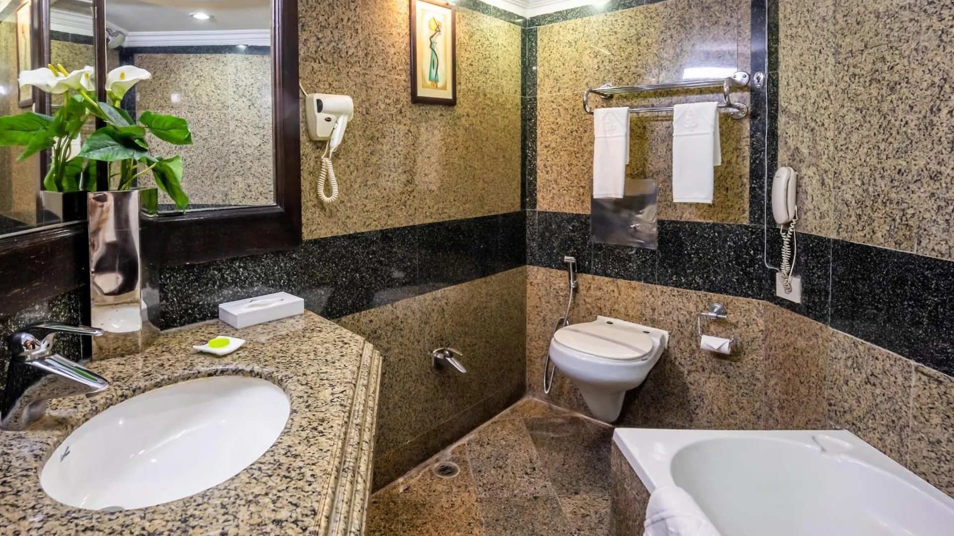 Hotel Shanti Palace Mahipalpur Нью-Дели 4*,
